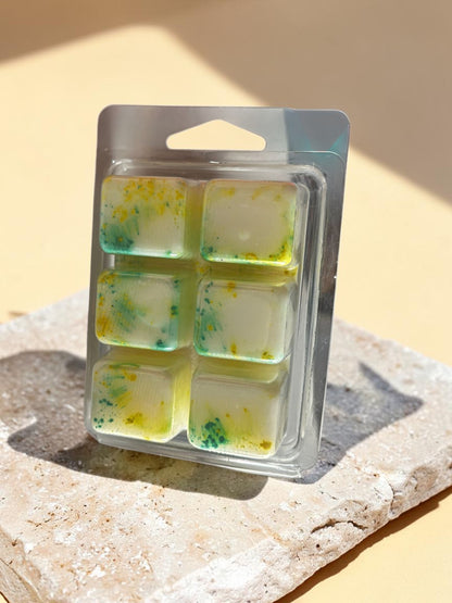 lemongrass ginger waxmelts
