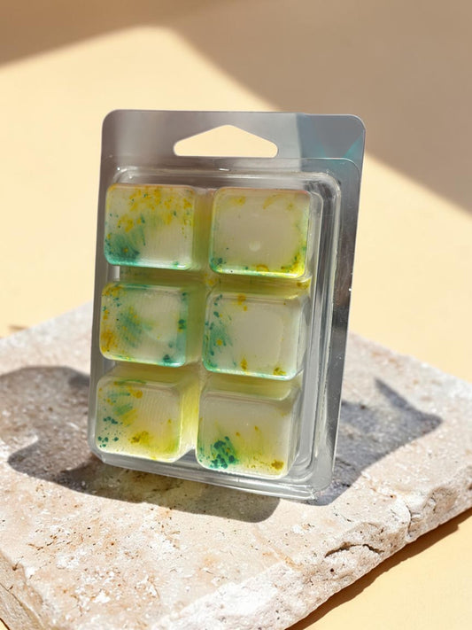 lemongrass ginger waxmelts