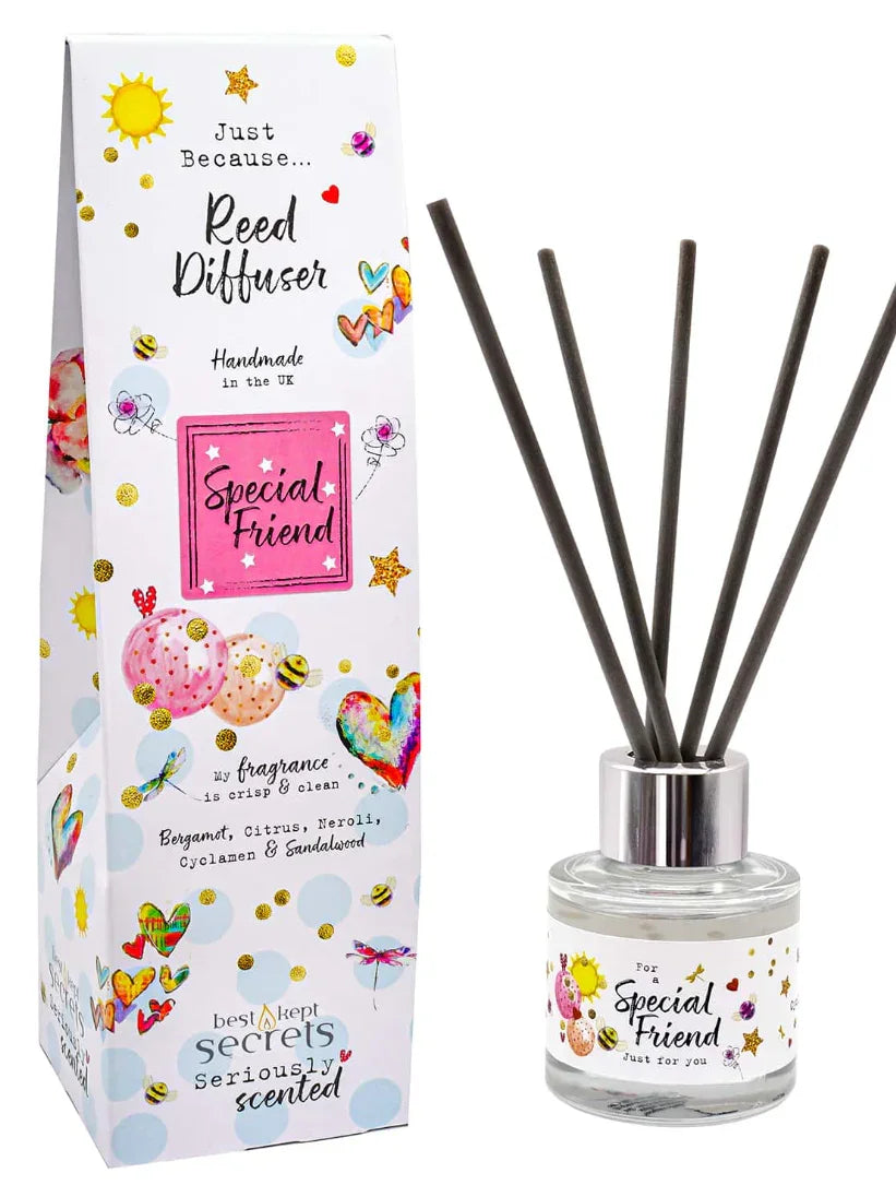 Best Kept Secrets Geurstokjes Diffuser Special Friend 50 ml